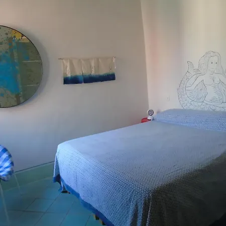 Il Polpo E La Sirena